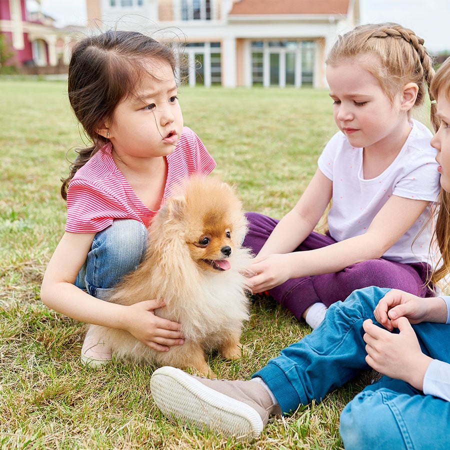 Projekt “Hundeschule” in der STARKITA Am Rohgraben 8