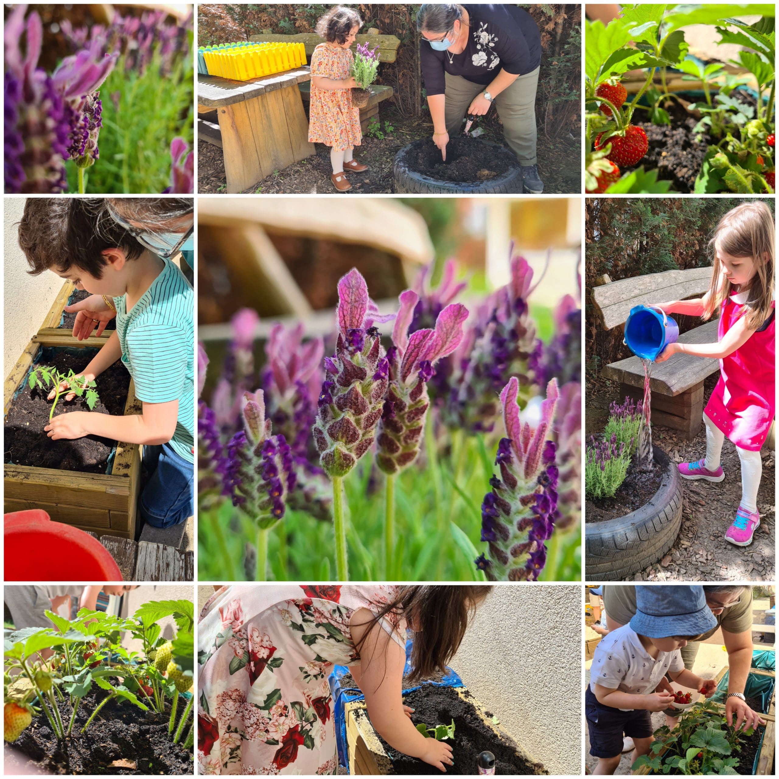 Gartenprojekt in der STARKITA Haeckelstr. 10